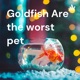 Goldfish are the worst pet!