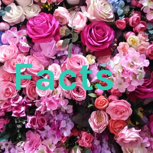 Facts Artwork