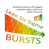 Lean Six Sigma Bursts - Brion Hurley