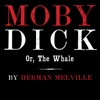 Moby Dick Pod artwork