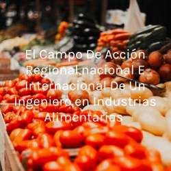 El campo de acción regional, nacional e internacional de un ingeniero en industrias alimentarias