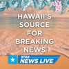 Hawaii News artwork