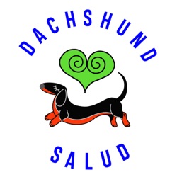 DACHSHUND SALUD