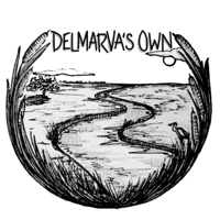 Stephanie Fowler - Delmarva's Own Author and Publisher