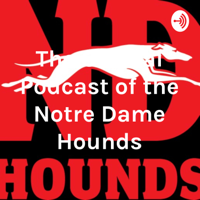 Hound, NHL veteran Curtis McElhinney, Apr. 28, 2023