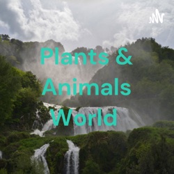 Plants & Animals World - Taughannock Falls