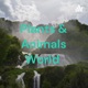 Plants & Animals World 