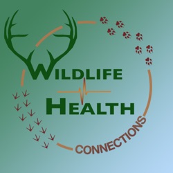 #2: Wildlife Vet Dr. Mark Pokras on the Origins of Conservation Medicine