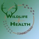 #16: Minisode 1 - Wildlife Health Research Study Wins Interesting Award