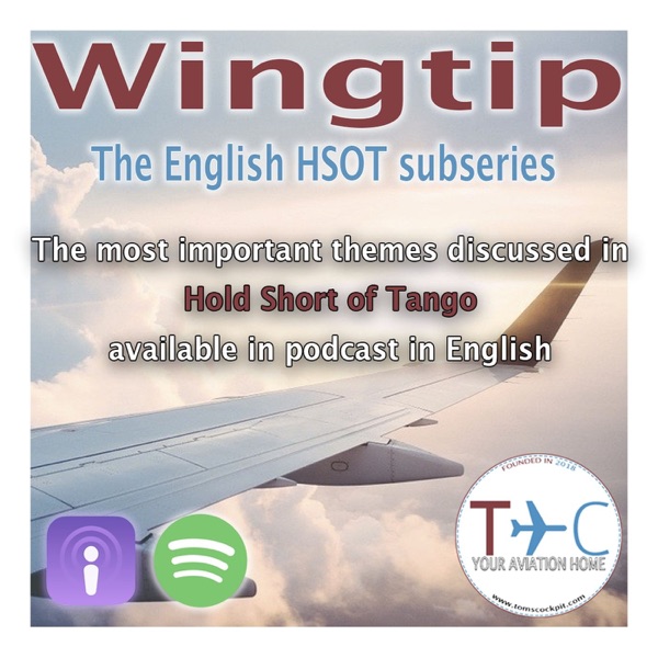 Wingtip | Your Aviation break Artwork