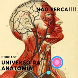 Universo da Anatomia 