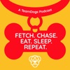 Fetch. Chase. Eat. Sleep. Repeat. artwork