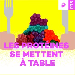 Les protéines se mettent à table - RTS