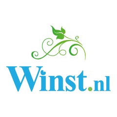 De Winst.nl Podcast