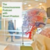 The Consciousness Podcast