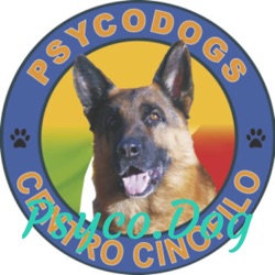 Episodio nr. 5 - Ascolta il tuo cane - Il podcast cinofilo di Psyco.Dog(s)
