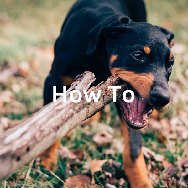 How To: Train Your Puppy Artwork