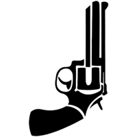 Second Amendment Foundation's Alan Gottlieb Responds to Financial Questions