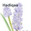 Hadiqaa - Gardening in the Gulf artwork