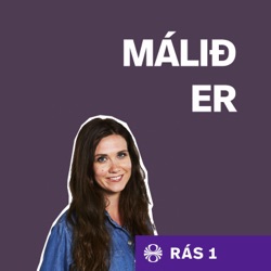 Málið er