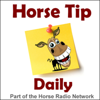 Horse Tip Daily #741 by Fleeceworks – The Wagon Wheel with  Lauren Ball-Tisdale