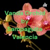 Vanda Orchid by Sampaguita Valencia artwork