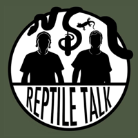 Episode ONE HUNDRED - Brian Barczyk (SnakebytesTV)