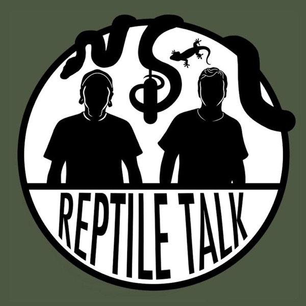 Reptile Talk Artwork