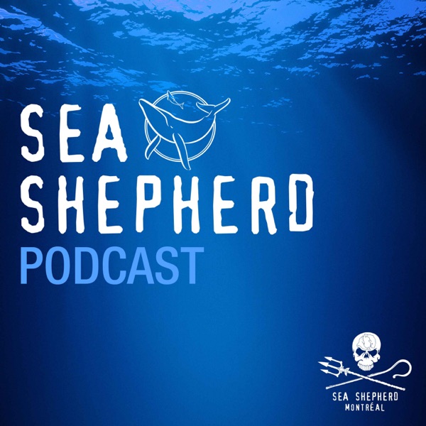 Sea Shepherd Montréal Podcast