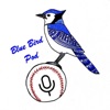 Blue Bird Pod artwork