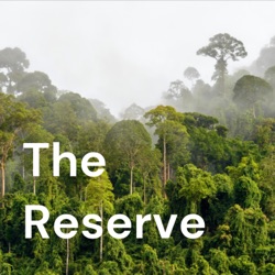 The Reserve