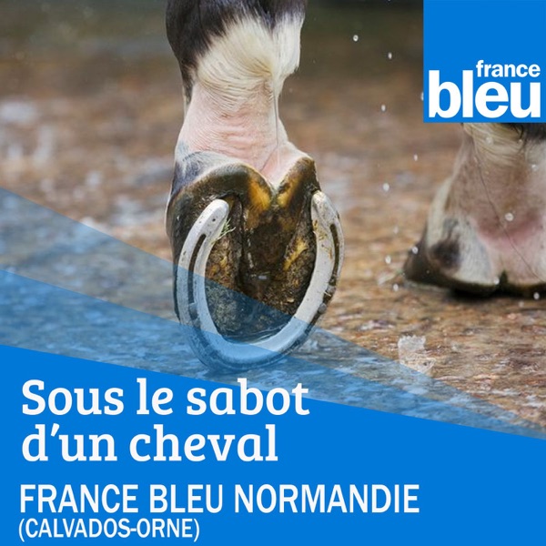Sous le sabot d'un cheval - FB Normandie (Caen)