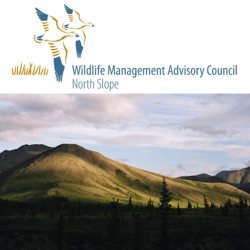 Making a wildlife management Conservation Plan