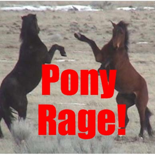Pony Rage Artwork