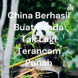 China berhasil buat panda tak lagi terancam punah walau masih rentan