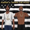 America: Under The Hood artwork