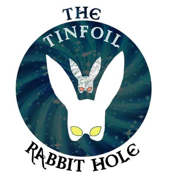 The Tinfoil Rabbit Hole Artwork