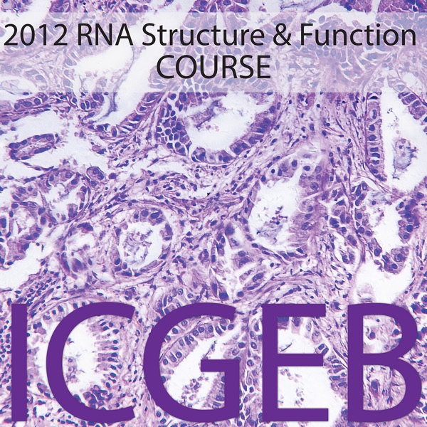 2012 Rna Structure and Function Artwork