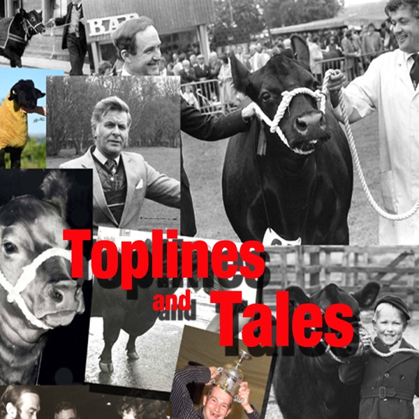 Top lines and tales Artwork