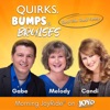 Quirks, Bumps, and Bruises artwork