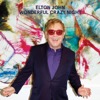 Elton John: Wonderful Crazy Night