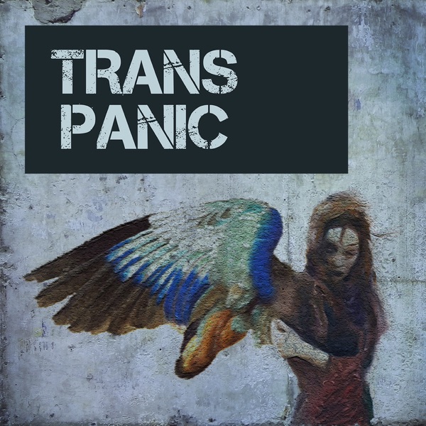 Trans Panic the Podcast