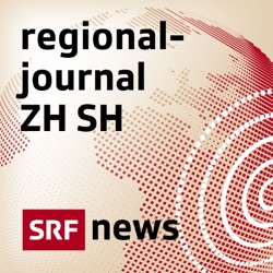 Kampf gegen Einweggeschirr: Zürich plant neues Beratungsangebot