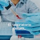 El laboratorio de JAL - Mejor fotocatálisis que inteligencia artificial - 18/04/24