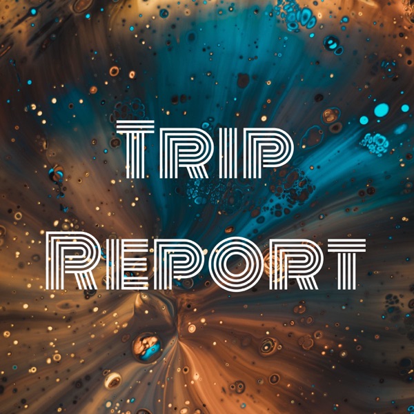 Trip Report Artwork