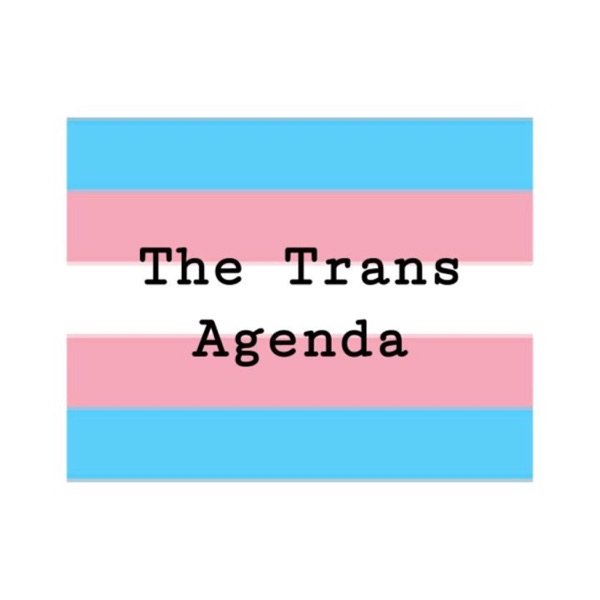 The Trans Agenda Artwork