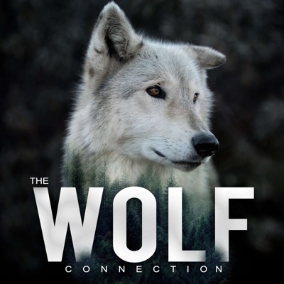 Episode #82 Arthur Lefo - Wolves & Conservational Photography
