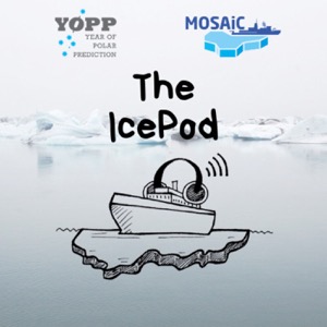 The IcePod