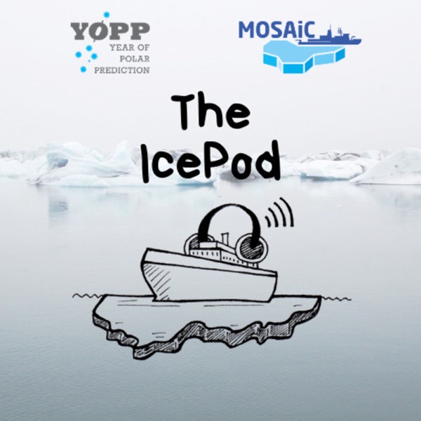 The IcePod Artwork