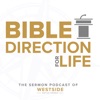 Bible Direction for Life artwork